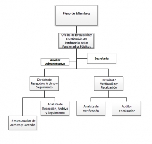 ESTRUCTURA DJP
